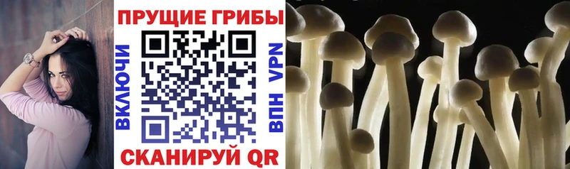 Галлюциногенные грибы MAGIC MUSHROOMS Новое Девяткино